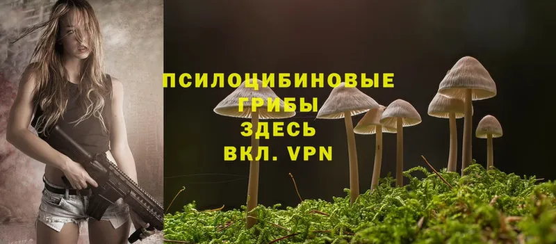 Галлюциногенные грибы MAGIC MUSHROOMS  закладка  kraken tor  Саров 